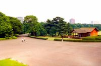 japon (55).jpg
